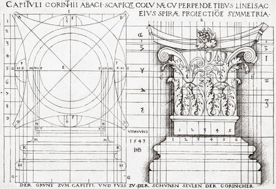 Průřez korintskou kapitálou a proporcionální kresba od Hans Sebald Beham