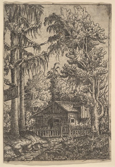 Srub mezi stromy, 1551. od Hans Sebald Lautensack