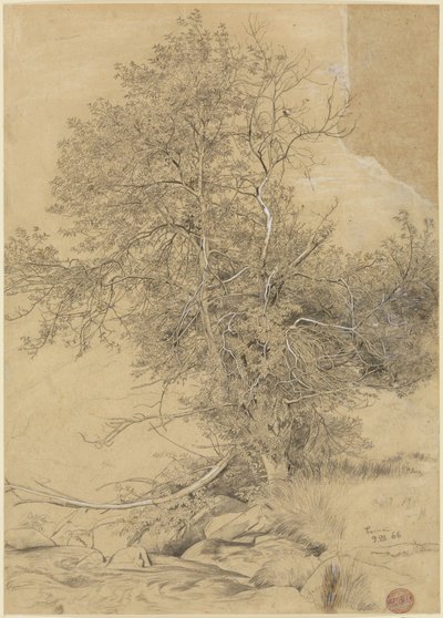  od Hans Thoma