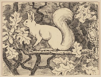 Ilustrace k učebnici: Eichhorn od Hans Thoma