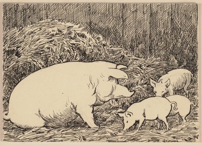 Ilustrace k abecední knížce: Prase od Hans Thoma