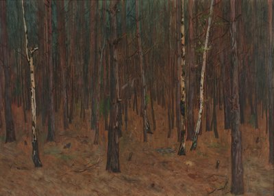 Waldinneres od Hans Tichy