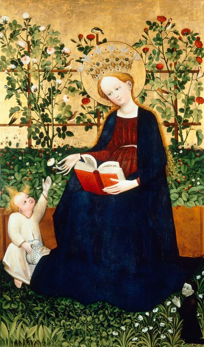 Jahody Virgin od Hans Tieffenthal