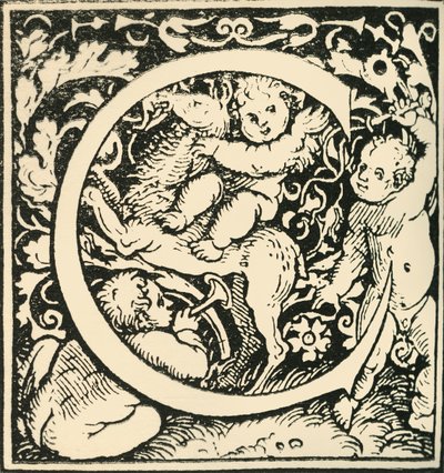 C - An Alphabet od Hanse Weiditze, c1520-1521, 1908. od Hans Weiditz