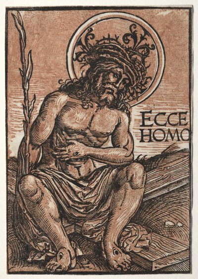 Muž bolesti sedící na kříži, c. 1522. od Hans Weiditz