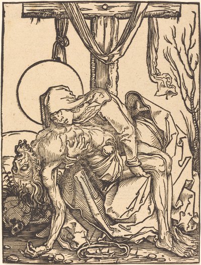 Soucit od Hans Weiditz, II