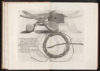 Ilustrace z knihy Cesta na ostrov Madera, Barbados..., svazek 2, 1815 od Hans after Sloane