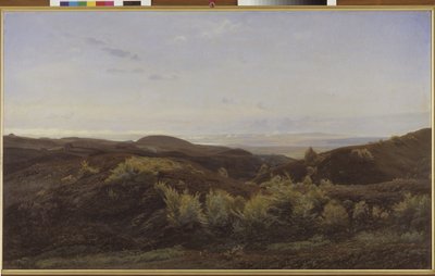 Heather Hills poblíž Rye, Jutsko od Harald Foss
