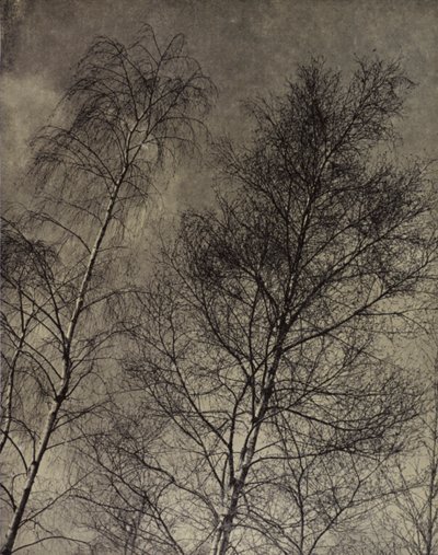 jejich kouzlo je napsáno Podél tekutého nebe, Robert Bridges (č/b foto) od Harold Burdekin
