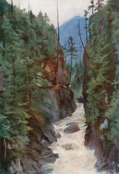 Capilano Canyon, poblíž North Vancouver od Harold Copping