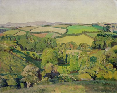 Drift Valley (olej na plátně) od Harold Harvey