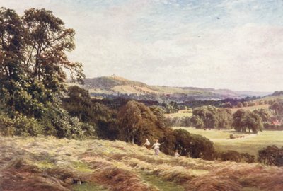 A Hayfield, Wonersh (barevná litografie) od Harold Sutton Palmer