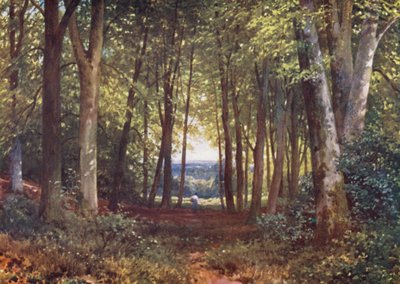 Deer-Leap Wood, Wotton (barevná litografie) od Harold Sutton Palmer