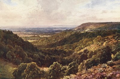 Z kopců nad Peaslake u Gomshallu (barevná litografie) od Harold Sutton Palmer