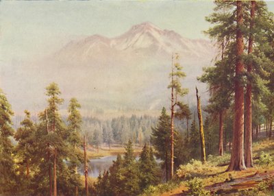 Mount Shasta, 1916 od Harold Sutton Palmer