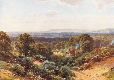 Písečné vrchy, pohled směrem k Blackdownu (barevná litografie) od Harold Sutton Palmer