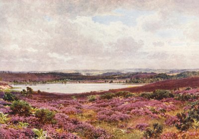 Velký rybník, Frensham (barevná litografie) od Harold Sutton Palmer