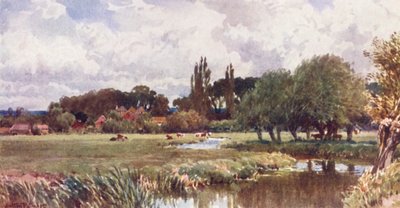 The Meads, Farnham (barevná litografie) od Harold Sutton Palmer
