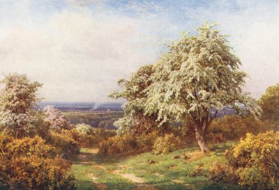 The Pride of Spring, Newlands Corner (barevná litografie) od Harold Sutton Palmer