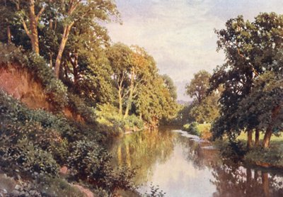 Řeka Mole u Dorkingu (barevná litografie) od Harold Sutton Palmer