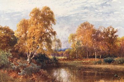 Ztrácející se rok (barevná litografie) od Harold Sutton Palmer