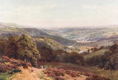 Údolí Albury, z kopce svaté Marty (barevná litografie) od Harold Sutton Palmer