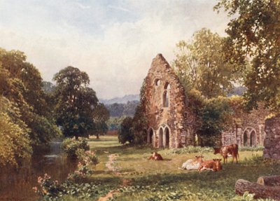 Opatství Waverley u Farnhamu (barevná litografie) od Harold Sutton Palmer