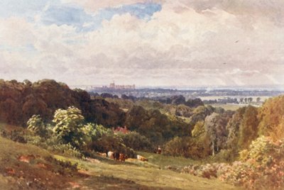 Hrad Windsor z Cooperova kopce u Eghamu (barevná litografie) od Harold Sutton Palmer
