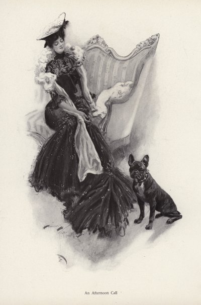 Žena na odpoledním společenském hovoru (litho) od Harrison Fisher