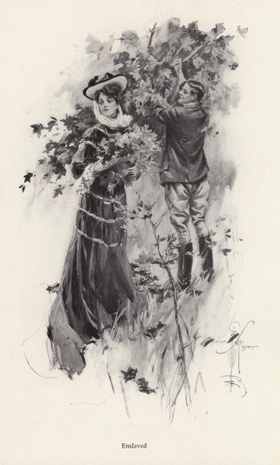 Žena trhá květiny s mužským obdivovatelem (litho) od Harrison Fisher