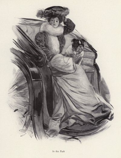 Žena sedí v kočáru se svým psem (litho) od Harrison Fisher