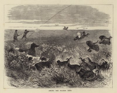 Mezi prérijními slepicemi od Harrison William Weir