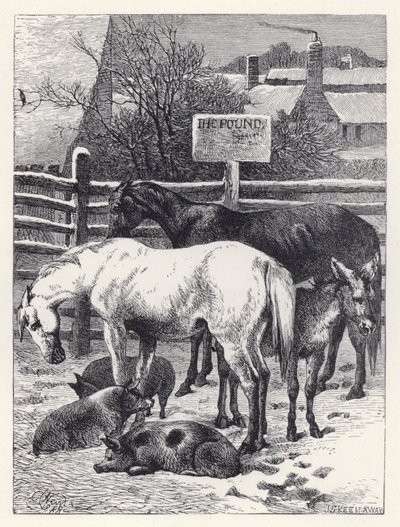 Zvířata v libře (rytina) od Harrison William Weir