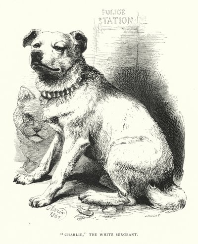 Závěsný od Harrison William Weir