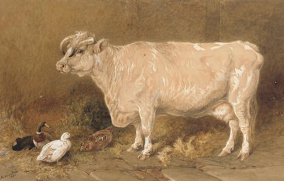 Kráva s kachnami ve stodole od Harrison William Weir