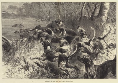 Odpalte to, Mid-Kent Staghounds od Harrison William Weir