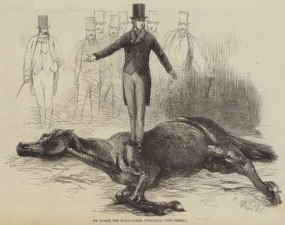 Pan Rarey, krotitel koní, operující na křižníku od Harrison William Weir