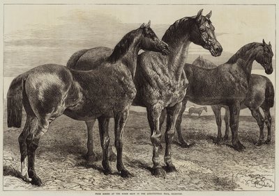 Ocenění koně na koňské výstavě v Agricultural Hall, Islington od Harrison William Weir