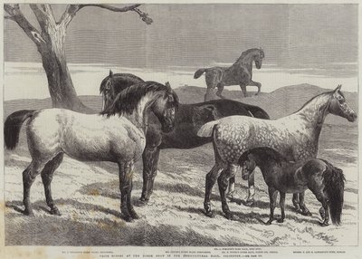 Ocenění koně na koňské výstavě v Agricultural Hall, Islington od Harrison William Weir