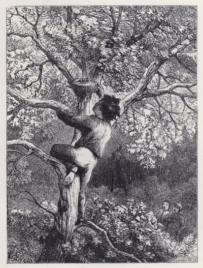 Závěsný od Harrison William Weir