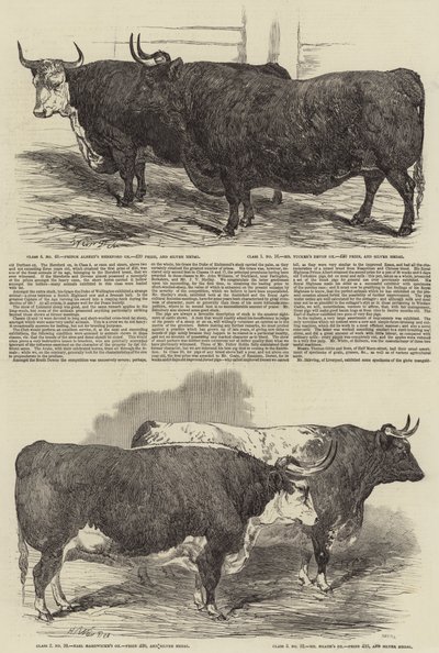 Výroční výstava klubu Smithfield od Harrison William Weir