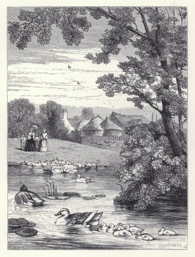 Kachní rybník (rytina) od Harrison William Weir