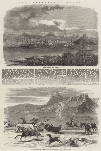 Falklandské ostrovy od Harrison William Weir