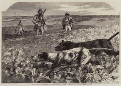 První září, střelba na koroptve (rytina) od Harrison William Weir