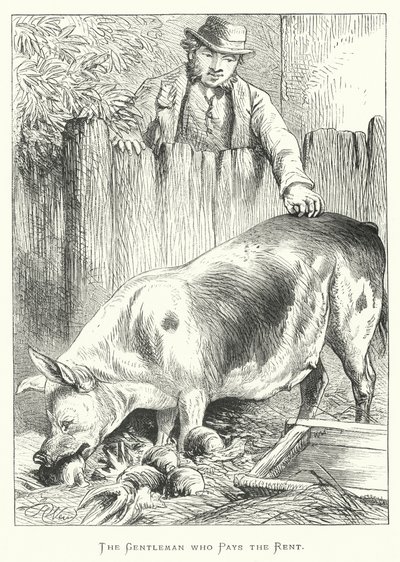 Gentleman, který platí nájem od Harrison William Weir