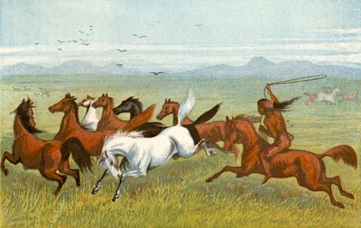 Kůň - "Jedle" od Harrison William Weir