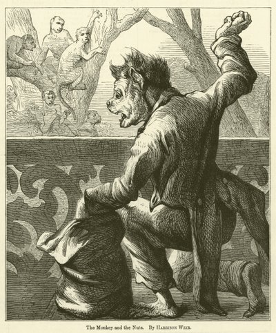 Opice a oříšky od Harrison William Weir