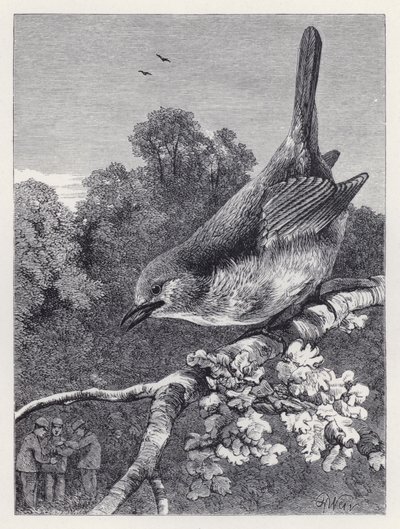 Robin Watching the Boys with the Nest (rytina) od Harrison William Weir