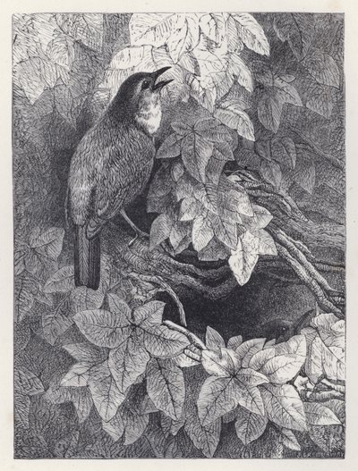 Závěsný od Harrison William Weir