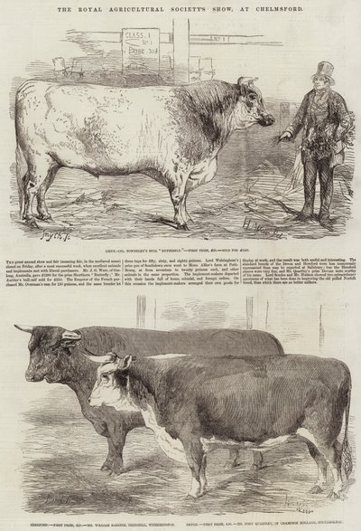 Výstava Královské zemědělské společnosti v Chelmsfordu od Harrison William Weir